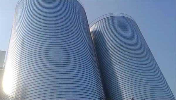 卢龙2座混凝土高架卷板仓